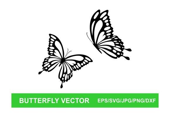 Download Butterfly Vector - Butterfly Collection