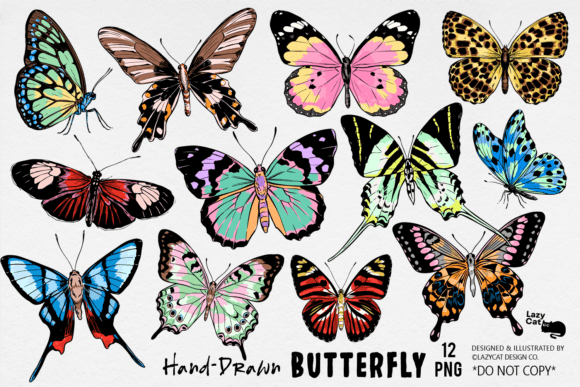 Download Butterfly Illustration PNG Bundle - Butterfly Collection